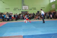 dsc_0042_t1.jpg