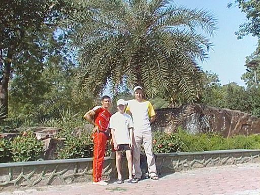 0175_thumb.jpg