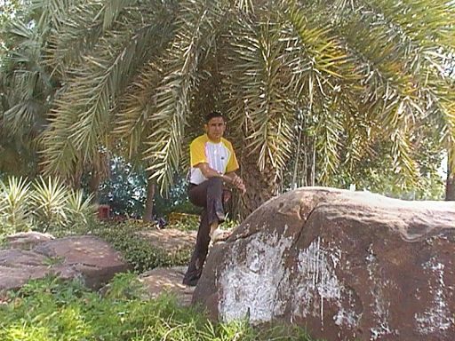 cam_0205.jpg