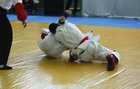 dsc_0230_t1.jpg